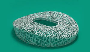 鸟巢3D打印模型