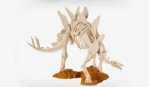 动物骨架高清三维模型